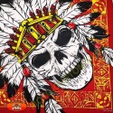 Bandana indian skull