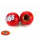 Bouchons de valves 666