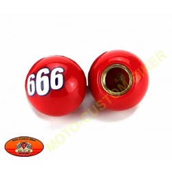 Bouchons de valves 666