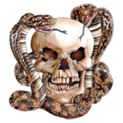 T shirt  skull snake