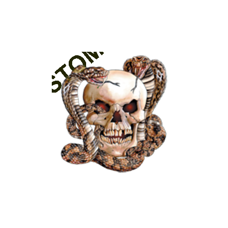 T shirt  skull snake