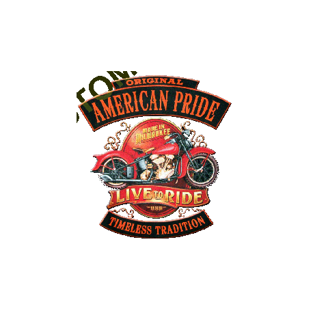 T shirt biker american pride