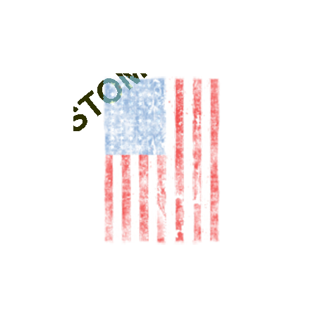 T shirt biker american flag