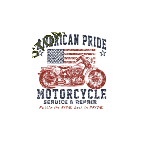 T shirt biker american pride bike