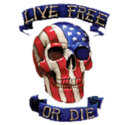 Débardeur homme live free or die