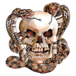 Sweat biker skull snake