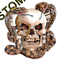 Sweat biker skull snake