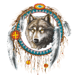 T Shirt enfant dreamcatcher wolf