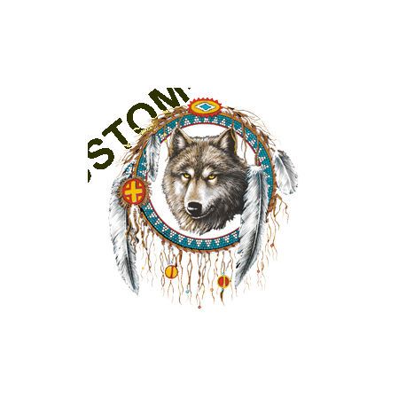 T Shirt enfant dreamcatcher wolf