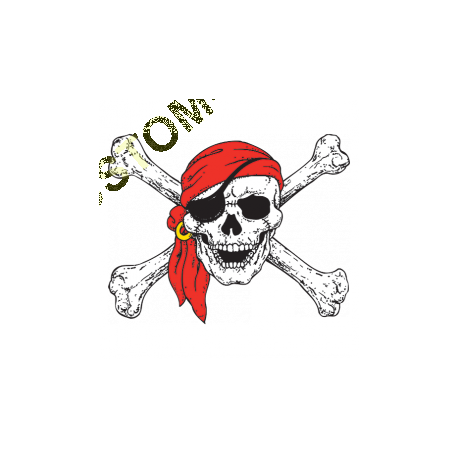 T Shirt enfant pirate