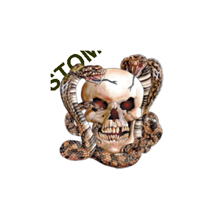 Sweat zippé biker skull snake