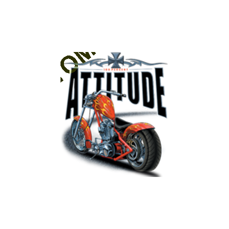 Sweat zippé biker choppers attitude