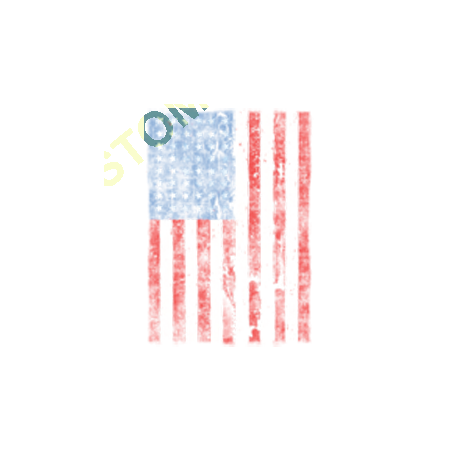 Sweat zippé biker american flag