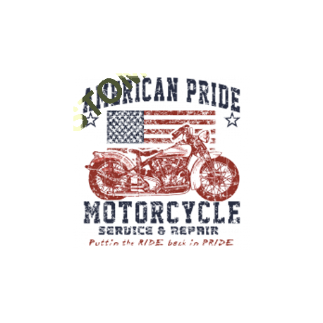 Sweat capuche biker american pride bike
