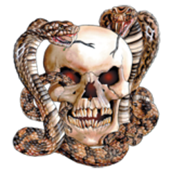 Sweat capuche avec zip skull snake