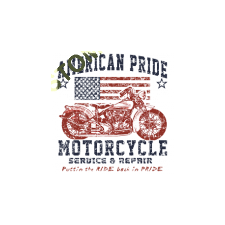 Sweat capuche avec zip american pride bike