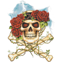 T shirt femme skull and roses.