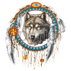 Sweat Femme dreamcatcher wolf