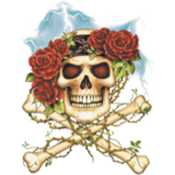 Sweat zippé Femme skull and roses
