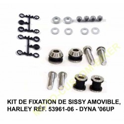 KIT DE FIXATION DE SISSY AMOVIBLE, HARLEY RÉF. 53961-06